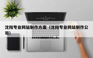 武安沈阳专业网站制作方案（沈阳专业网站制作公司）